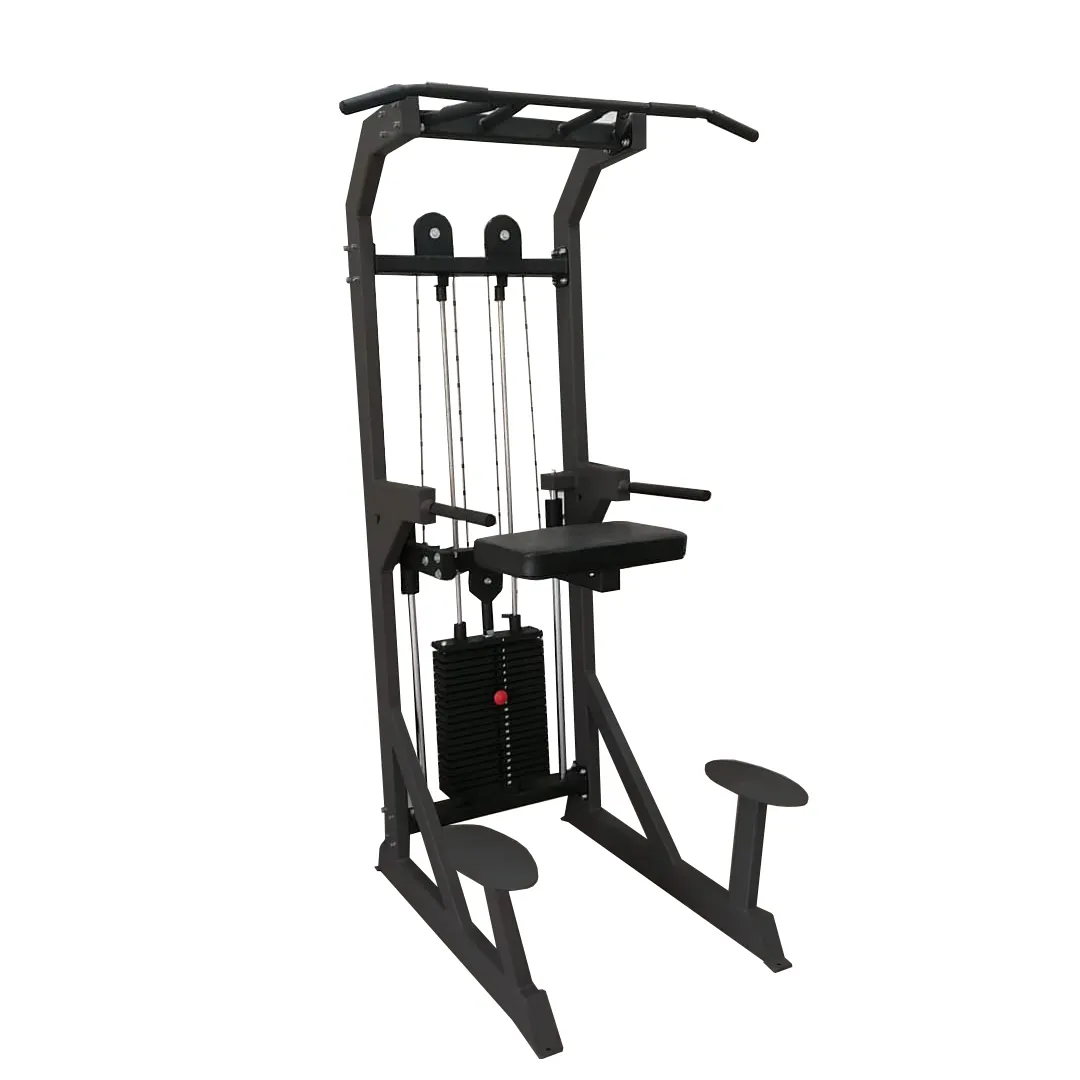 Гравитрон профессиональный BRONZE GYM PARTNER ML-701