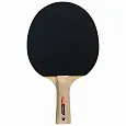 Ракетка SPORT 100